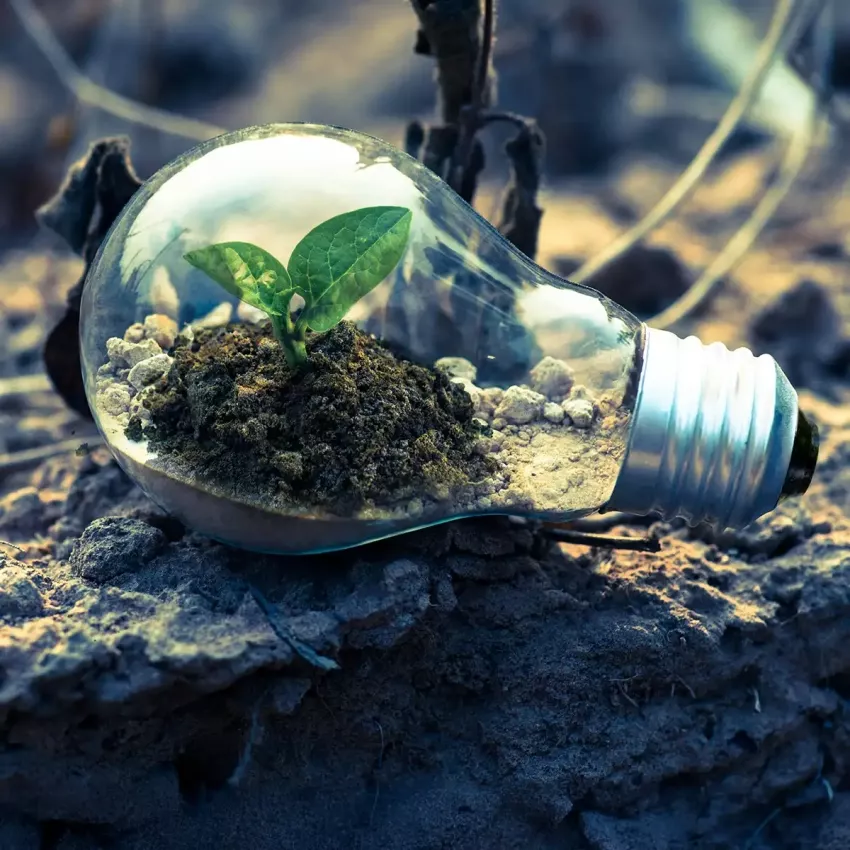 Soluciones para un crecimiento sostenible