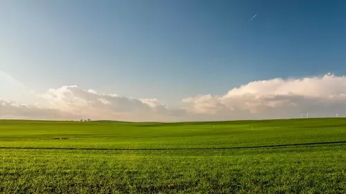 Juntos, por un futuro más verde